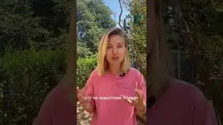Нудисты против одетых в Барселоне