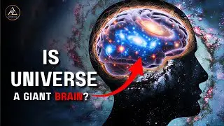 Is Our Universe Conscious? Brain vs. Cosmic Web Mind-Blowing Similarities