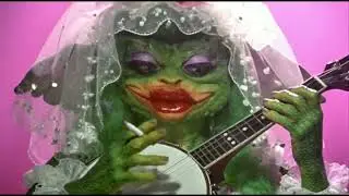 Stage Screen Video - Clover NYE 2026
