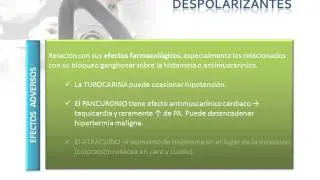 TEMA 24.  BLOQUEANTES NEUROMUSCULARES