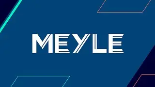 MEYLE AG