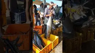 king fish of kerala                           #fishing #fisherman #seafishing #fish #shorts #bigfish