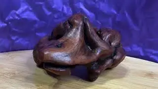 Rare..Very Old..Scrub Oak!! Best of  the Shape Shifters    HD