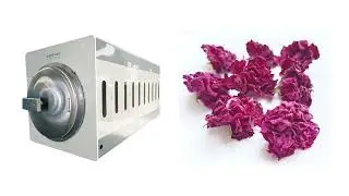 New design microwave vacuum dryer for rose flower#machine #microwave vacuum dryer