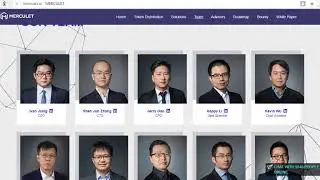 Merculet -  известная организации, создающая блок-чейн сеть.