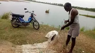 kodipelu &para;kalu