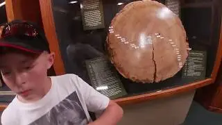 Visiting the Natural Bridge Nature Center