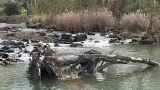 Bridgewater Victoria Loddon River Part one