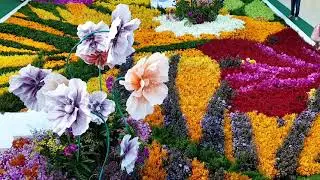 Summer Flower Show in Thailand