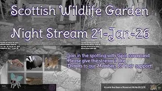 Night Stream January 21st 2026 | Bird Feeders, Wildlife Cameras Scotland UK from SWG