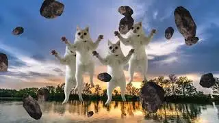 Sounds of harmony in nature #choralsinging #wind #clouds #cat #whale #river #timelapse