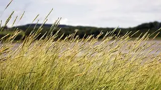 Sound Of Strong BREEZE 2 Hours