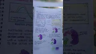 Enzymes class 11 biology