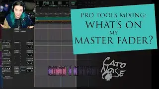 Mixing Music in Pro Tools: What&rsquo;s on my Master Fader 2022