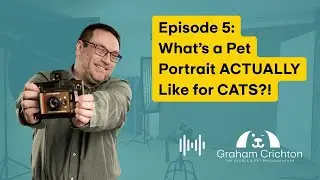 Ep 5: What Is a Pet Portrait Session ACTUALLY Like for CATS?