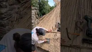 Thatching #thatching#thatcher#roofing#youtubeshorts#building#craftsman#balance#viral