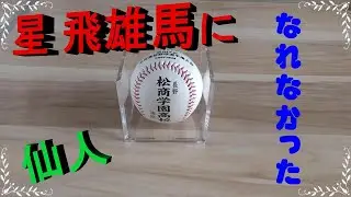 星 飛雄馬になれなかった 仙人北杜　筋力アシスト使用感想　農林水産省も勧めるスマート農業