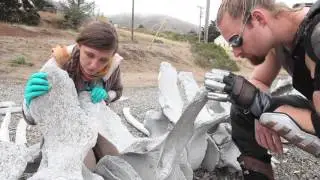 Event Horizon Rough Cut 1