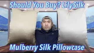 Should You Buy? LilySilk Mulberry Silk Pillowcase