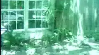 chads house