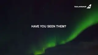 See the northern lights in Iceland