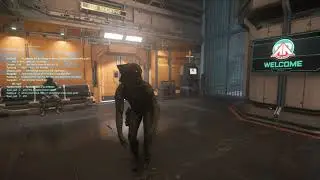 Star Citizen Bug Report -- emotes and actions dont play fully
