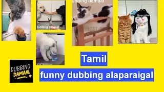 😂 Tamil Funny Dubbing Compilation | Cat & Dog Dubbing Madness 😹🐶 | Dubbing Damaal