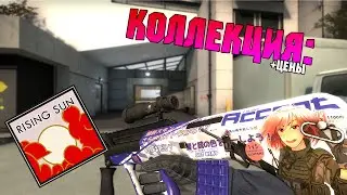 CS:GO - Коллекция 