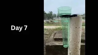 FIELDWORK 1 : RAIN GAUGE ANALYSIS
