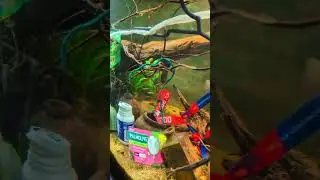 Cuối tuần thư giản với một chiếc bể c&oacute; view biotop s&ocirc;ng hồ dễ chơi nhất của mọi nh&agrave;😅😅