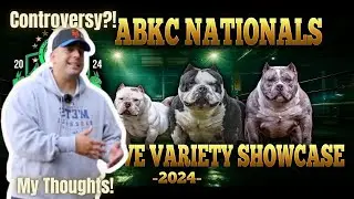 ABKC Did What? | American Bully | Controversy? | Let's Talk About It