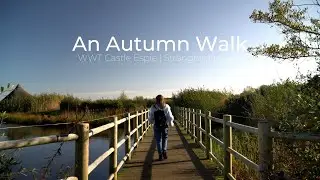 An Autumn walk in Castle Espie, County Down