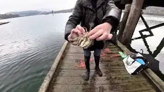 [4K] Rocky Point | Port Moody | Coquitlam