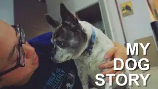 MY DOG STORY - FRENCH PUGGLE | vlog 222