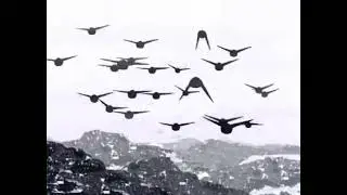 Home x Territory | Christian L&ouml;ffler x The Blaze |VvddB Edit