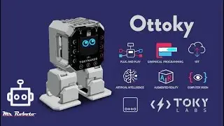 Ottoky - Reseña
