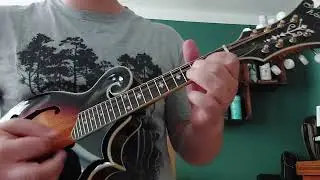 The Dreadnoughts - Cider Holiday (Mandolin Play-Along)