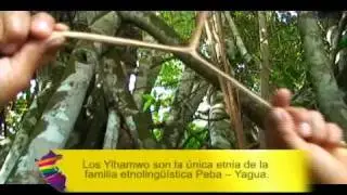 mayta capac alatrista / LOS YAGUAS - COSTUMBRES ANCESTRALES