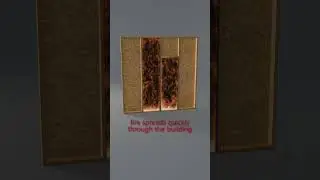 Timber Frame┃Blocking (Part 3)