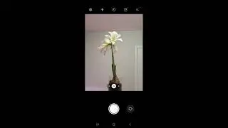 To Padlet from your phone
