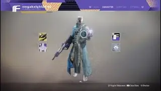 Destiny 2 Gun review / magnum shepherd