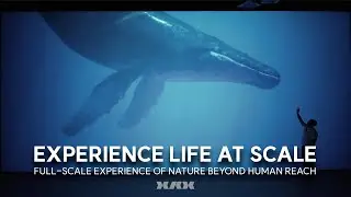 【XRX ALIVE】 The First Glimpse of a Living Virtual World &ndash; A Next-Generation XR Experience by XRX