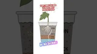 LECA & PON 101: Drainage Pot Setup vs Semi-Hydro 🪴| Everything You Need to Know in 90 Seconds ⏰