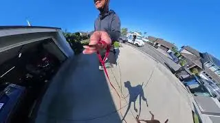 Whiskey Run