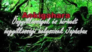 Aokigahara - &Ouml;ngyilkoss&aacute;gok &eacute;s h&iacute;rhedt helysz&iacute;nek Jap&aacute;nban