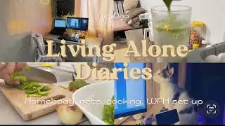 Living Alone in the Philippines| WFH Setup, Pet Life & Pop Mart Unboxing