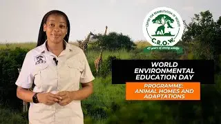 World Environmental Education Day | Day 4 🌍