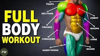 The Perfect Science-Based Full Body Workout for Mass (3-Day Routine)