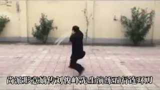 Shang Xing Yi Quan   Wu Xing Lian Huan Dao   Liu Jun Feng