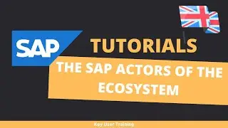 SAP - Actors of the SAP ecosystem